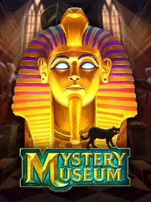 Mystery Museum